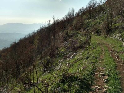 Alla scoperta di Acuto e Piglio