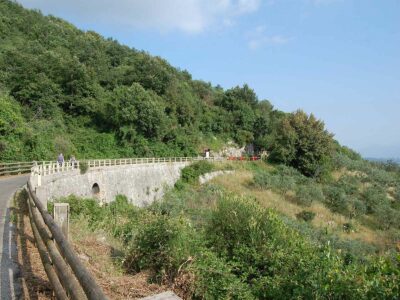 Strada del Vino Cesanese Tour