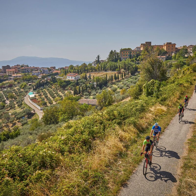 Strada del Vino Cesanese Tour