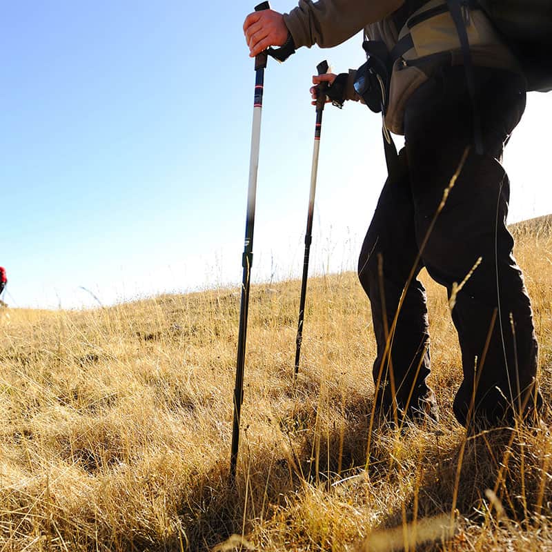 Hiking & Nordic walking