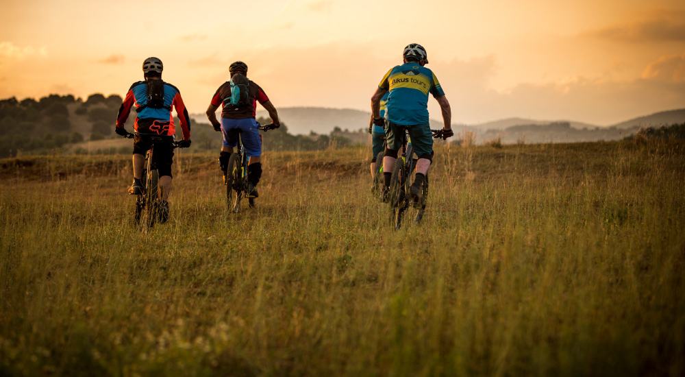  E-bike tour
