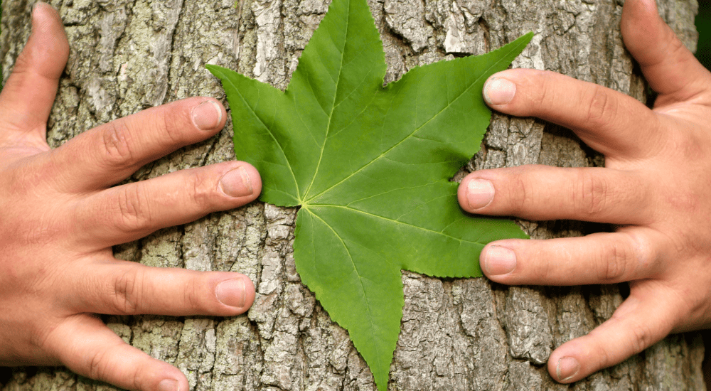 Bosco sensoriale