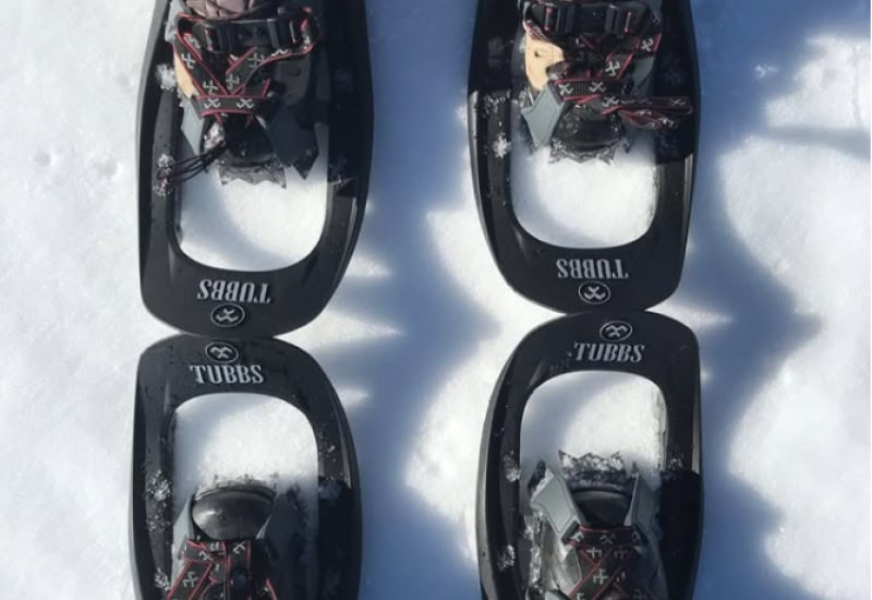 Snowshoeing Adventure
